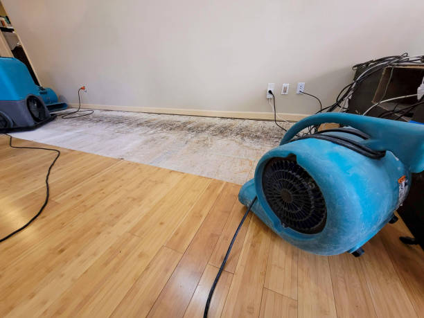 Professional Basement Flood Cleanup technician working in Lawrence, IN